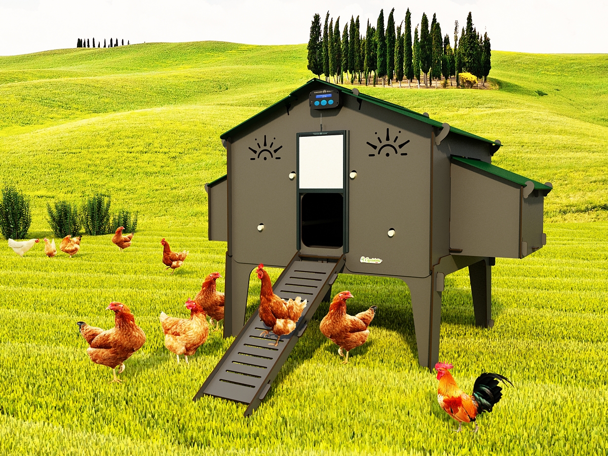 Een evenement lanthaan Lief Polly Duplex GREY 4XL Verhoogd kippenhok voor 15/20 kippen speciale limited  edition serie - Cucciolotta
